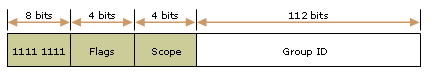 ipv6_format